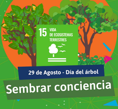 Captura de pantalla 2025-08-13 154311.png Captura de pantalla 2025-08-13 154311.png