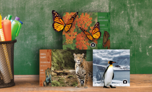 thumbnail_cubos biodiversidad.png thumbnail_cubos biodiversidad.png