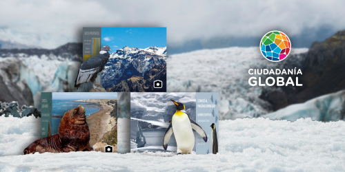 Banner Cubos RA Glaciares 2026.png