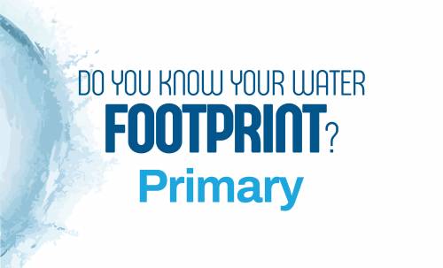 thumbnail_HH Primary.jpg