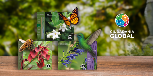 Banner Cubos RA Polinizadores 2026.png